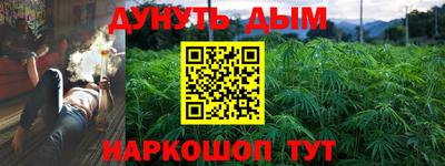 прущие крисы Беслан
