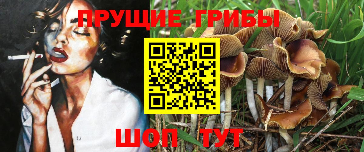 Галлюциногенные грибы прущие грибы  наркотики  Касимов  Вход с VPN  Галлюциногенные грибы ЛСД 